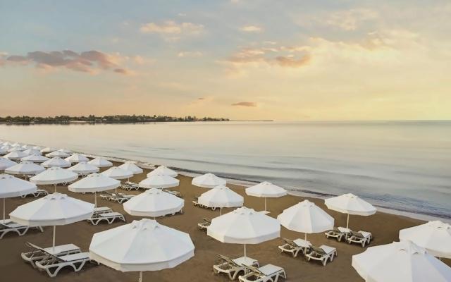 Acanthus & Cennet Barut Collection
