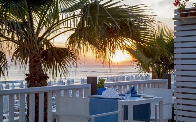 Acanthus & Cennet Barut Collection