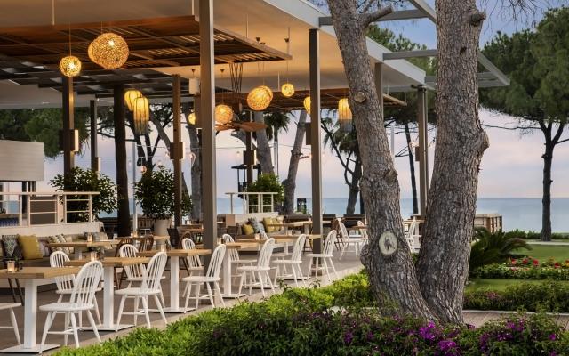 Acanthus & Cennet Barut Collection