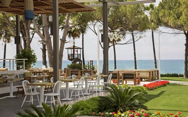 Acanthus & Cennet Barut Collection