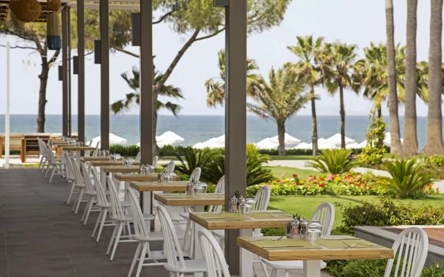 Acanthus & Cennet Barut Collection