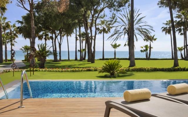 Acanthus & Cennet Barut Collection
