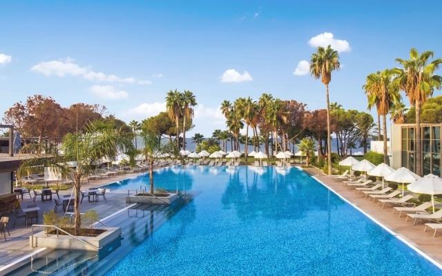 Acanthus & Cennet Barut Collection