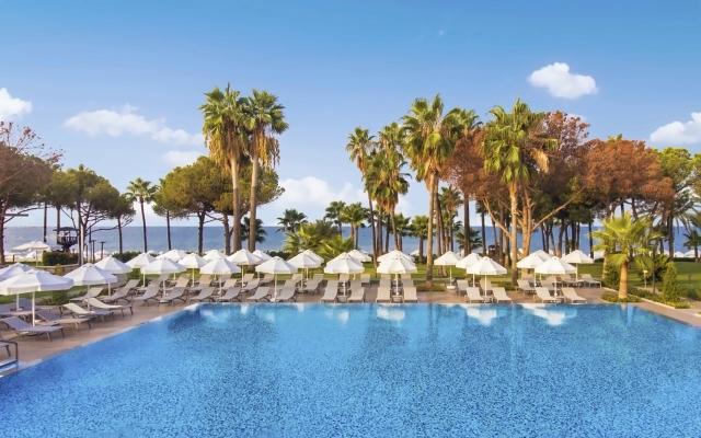 Acanthus & Cennet Barut Collection