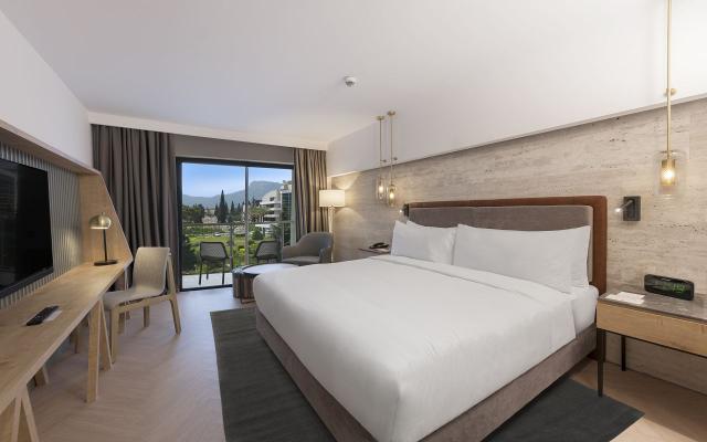 Guest Room (Mountain View)