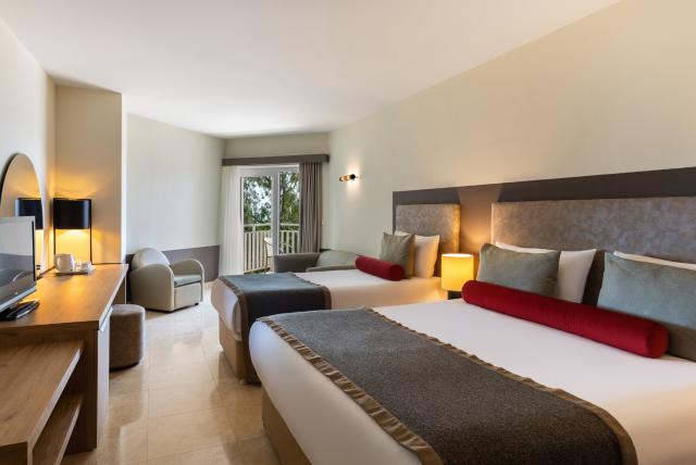Standard Large Room