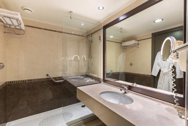 Standard Large Room
