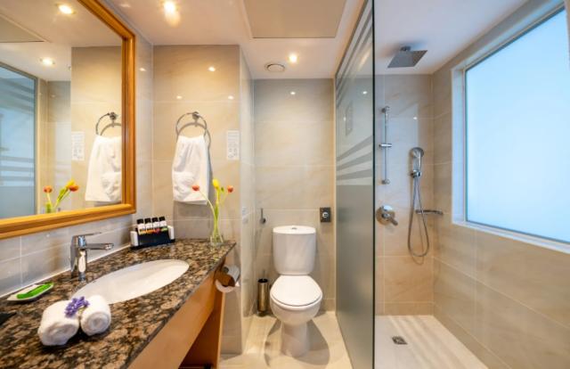Classic Room Limited Sea View