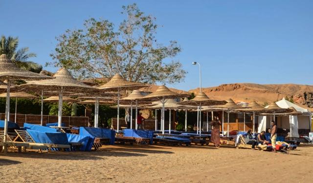 Old Vic Resort