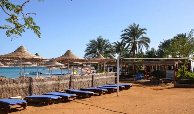 Old Vic Resort