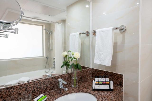 Superior Deluxe Room Land View
