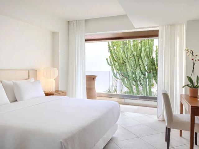 2-Bedroom Family Suite Main Building Garden View