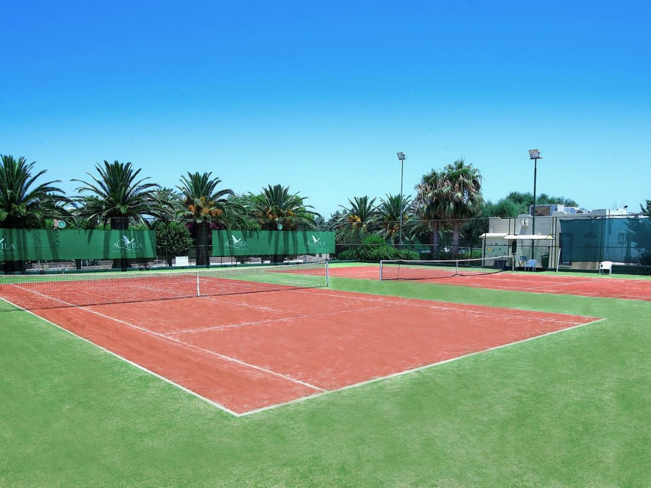 Sport