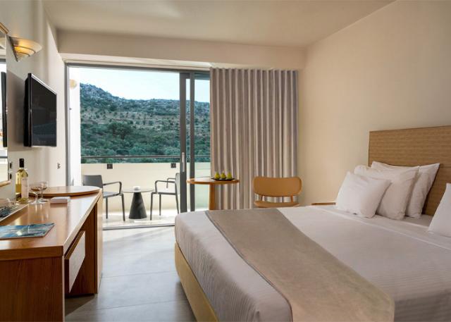 Classic Double Room Urban View