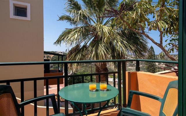 Triple Studio with Mountain or Garden View