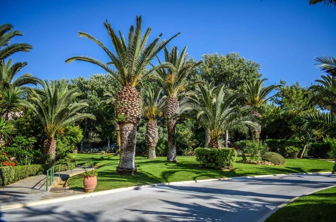 Creta Star Hotel (Adults Only 16+)