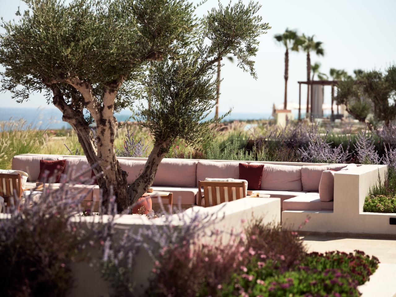 The Royal Senses Curio Collection by Hilton