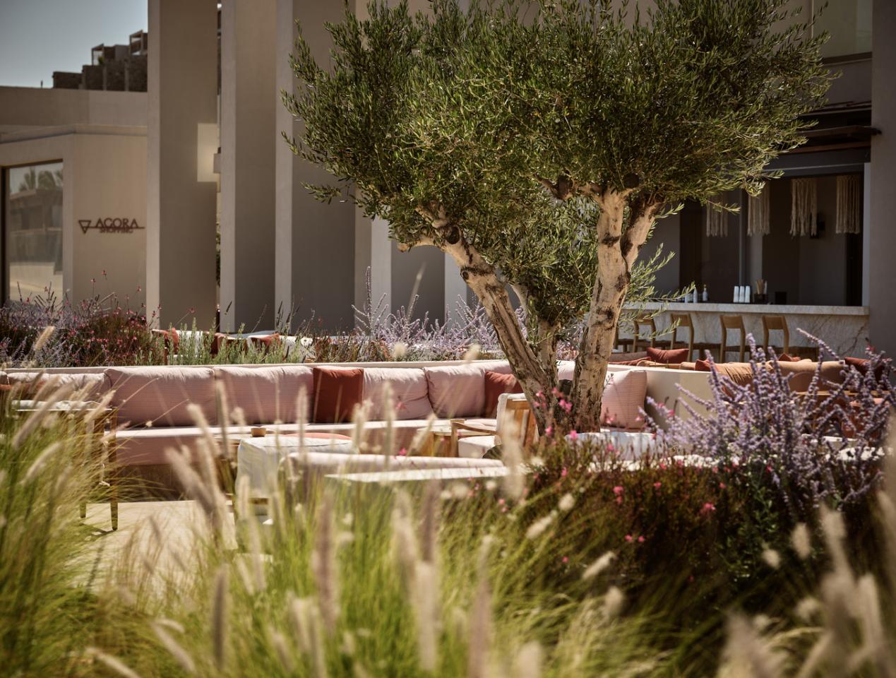 The Royal Senses Curio Collection by Hilton