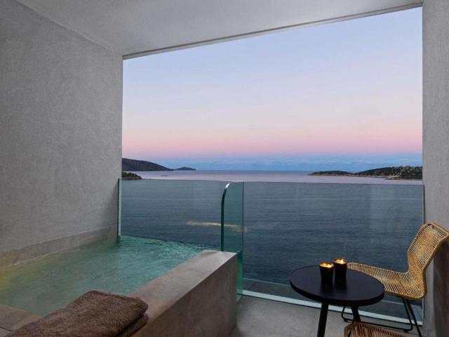 Deluxe Stunning SV Plunge Pool Double