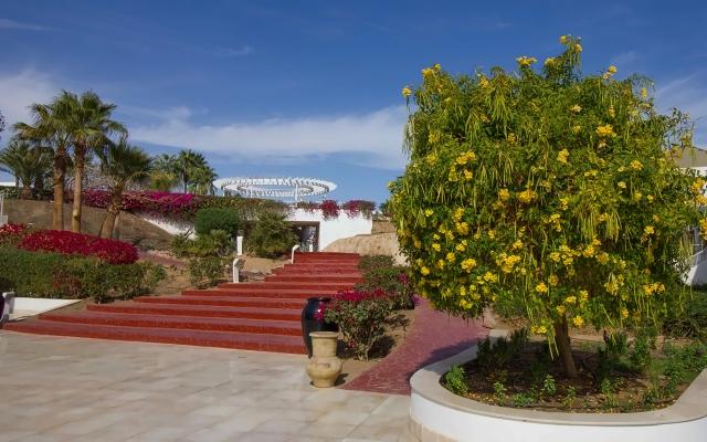 Monte Carlo Sharm Resort & Spa