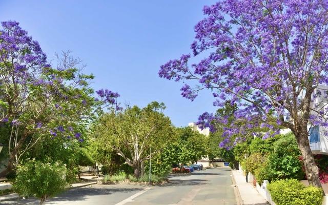 Leptos Paphos Gardens & Apartaments