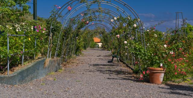 Quinta do Arco