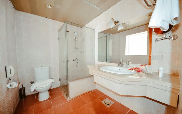 Deluxe Pool View Room