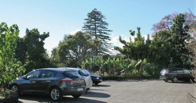 Quinta Mae Dos Homens