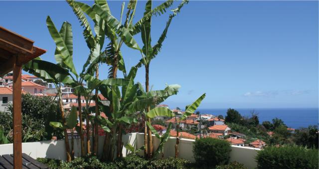 Quinta Mae Dos Homens