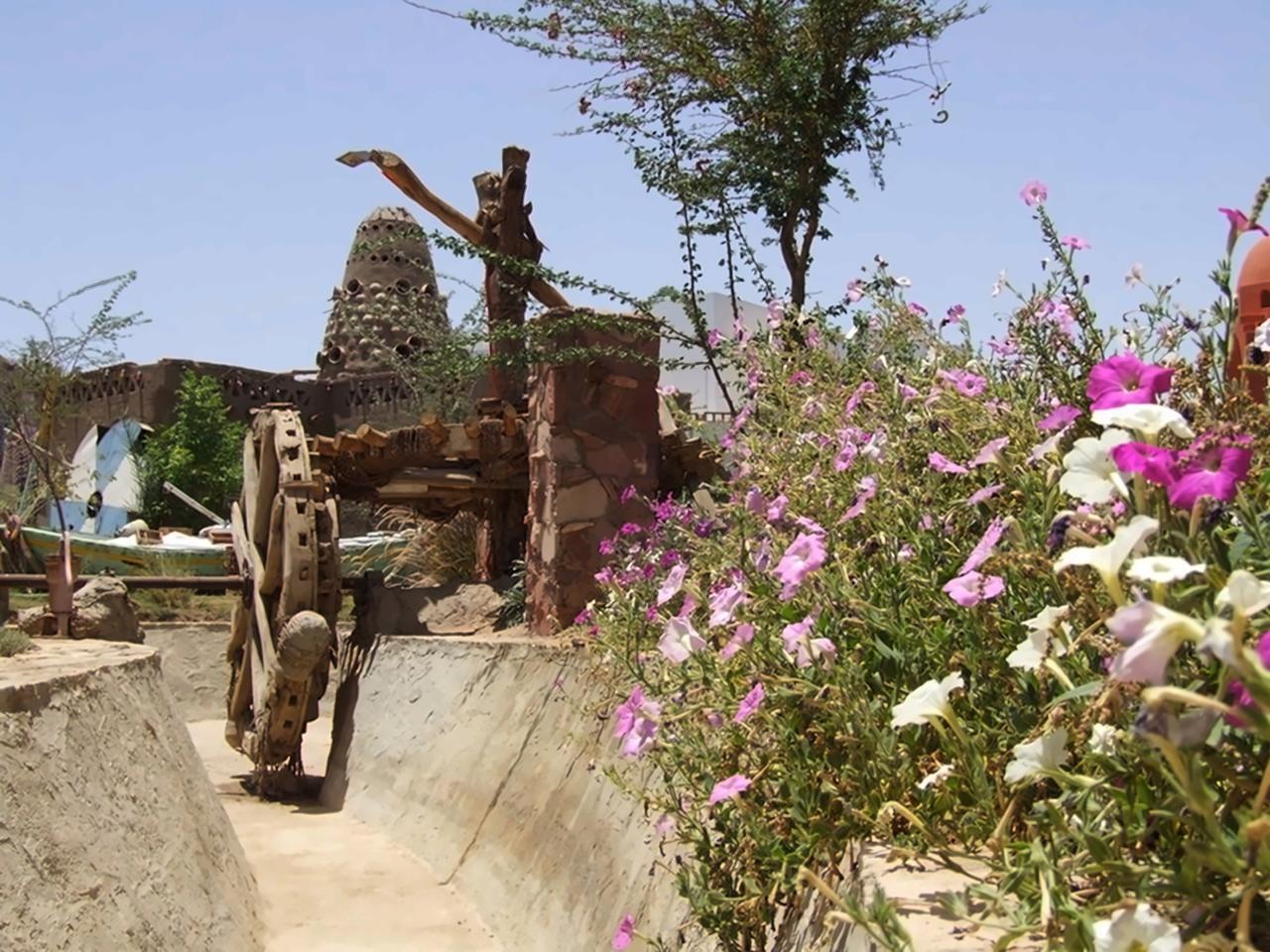 Sharm Inn Amarein
