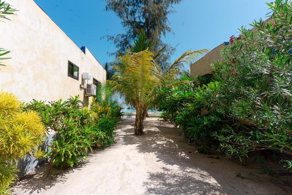 Jambo Resort by Mambo Hotels