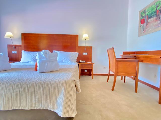 Double/Twin Room