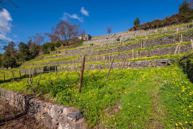 Quinta Da Serra