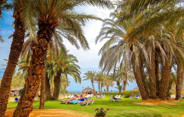 Odyssée Resort