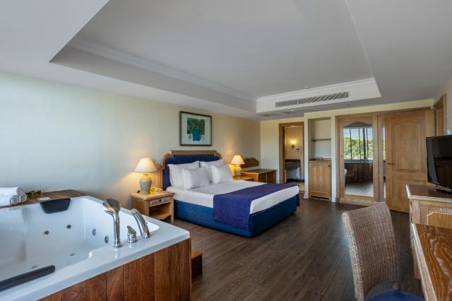 King Suite Room