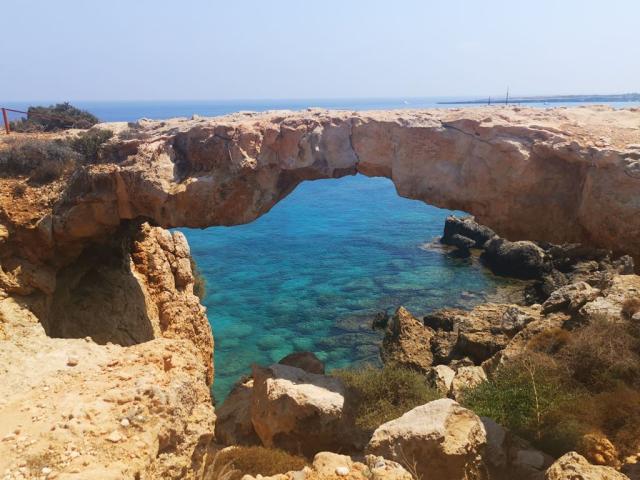 Cape Greko