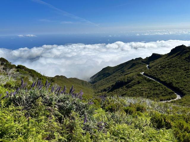 Poznávací zájezd Madeira