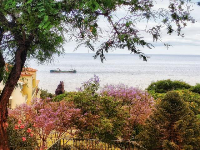 Poznávací zájezd Madeira