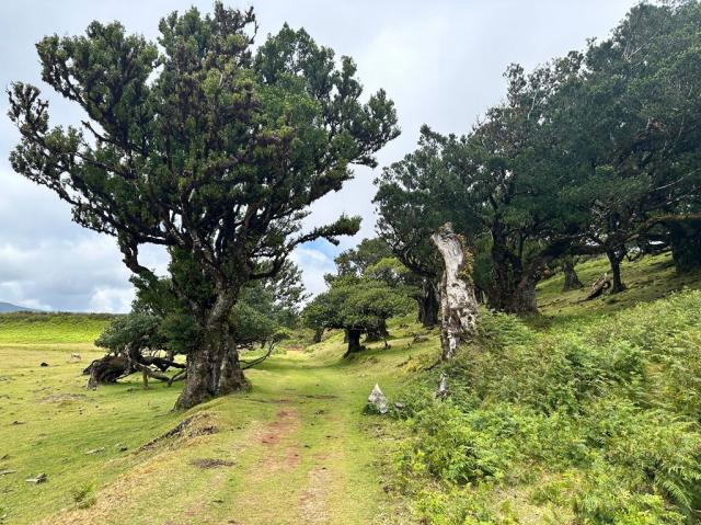 Poznávací zájezd Madeira