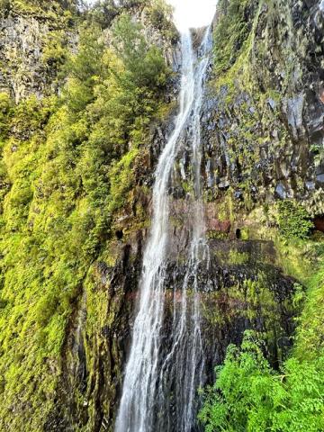 Poznávací zájezd Madeira