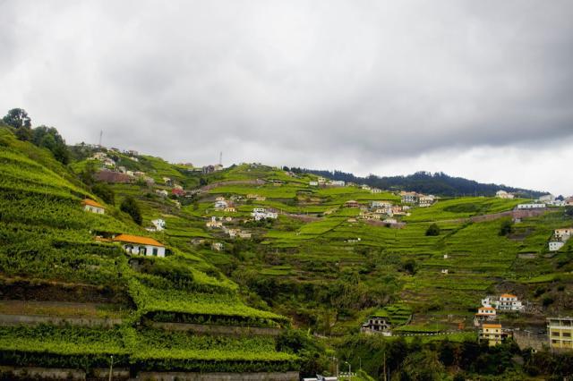 Poznávací zájezd Madeira