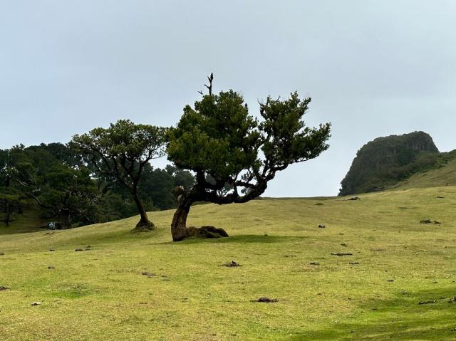Poznávací zájezd Madeira