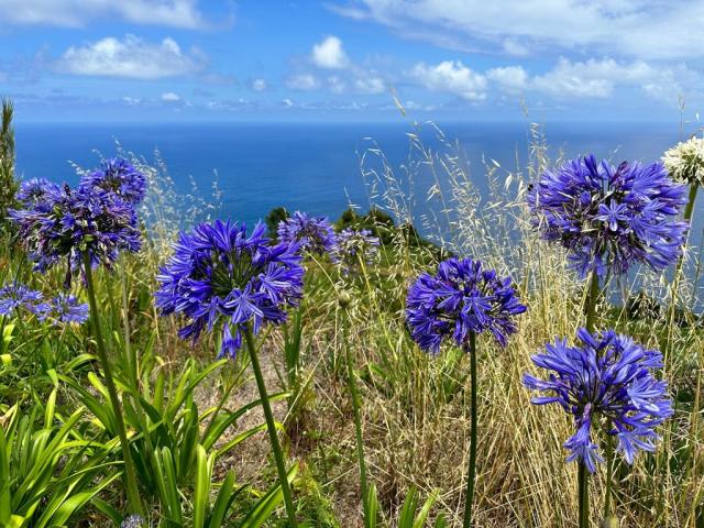 Poznávací zájezd Madeira