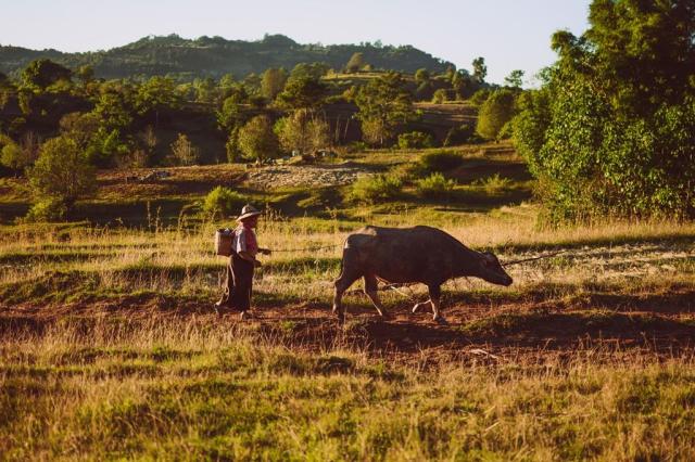 Poznávací zájezd Myanmar