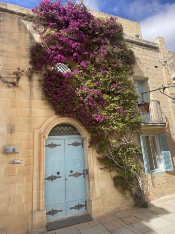 Poznávací zájezd Malta