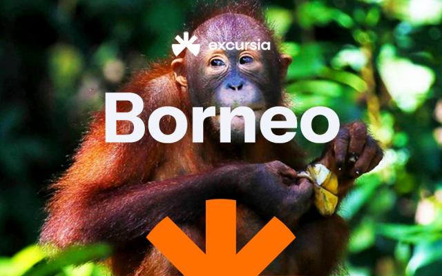 Poznávací zájezd Borneo