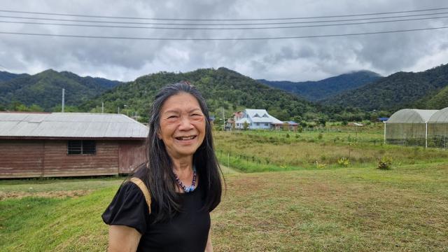 Poznávací zájezd Borneo