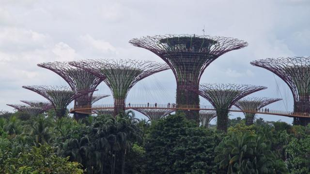 Poznávací zájezd Borneo