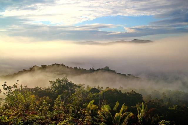 Poznávací zájezd Borneo