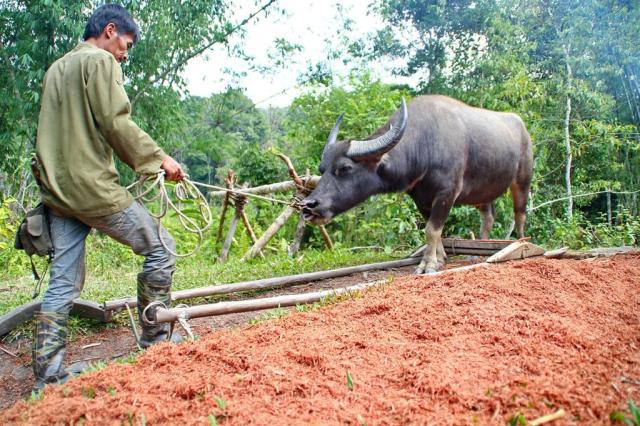 Poznávací zájezd Borneo